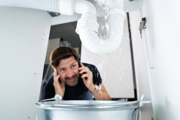 Best Toilet Repair Services  in Greenwood, DE